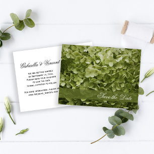 Carte Postale Faire-part Green Annabelle Hydrangea Wedding Enregistrer la d