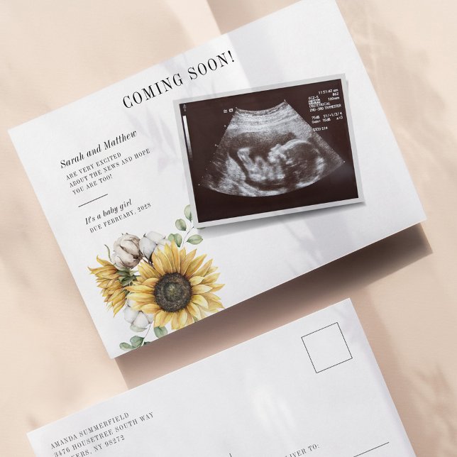 Carte Postale Faire-part Grossesse de l'éucalyptus floral de tournesol (Sunflower Sonogram Pregnancy Announcement Postcard)