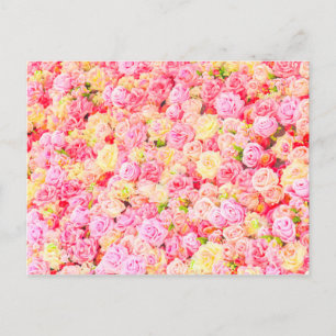 Carte Postale Faire-part Jardin de roses