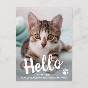 Carte Postale Faire-part Joli Chat Mignon Photo Personnalisée de Chat Nouve