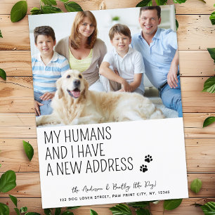 Carte Postale Faire-part Jolie Drôle Nouvelle Adresse Photo de Chien Person