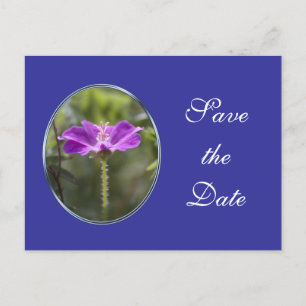 Carte Postale Faire-part Jolie fleur de jardin violette enregistrer la date