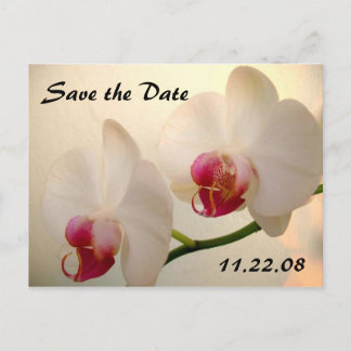 Carte Postale Faire-part jolie Orchidée