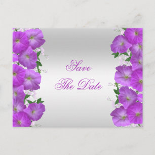 Carte Postale Faire-part Joyeux Anniversaire Fleurs de Pétunias Élégants et