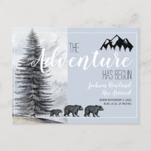 Carte Postale Faire-part L'aventure commence annonce de naissance des ours
