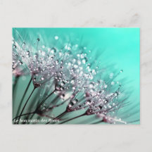 Le bon matin des fleurs