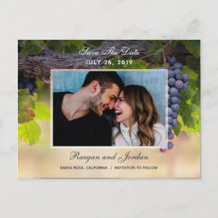 Carte Postale Faire-part Les raisins sur la photo de vignes sauvent la