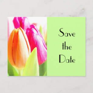 Carte Postale Faire-part Les tulipes font gagner la date