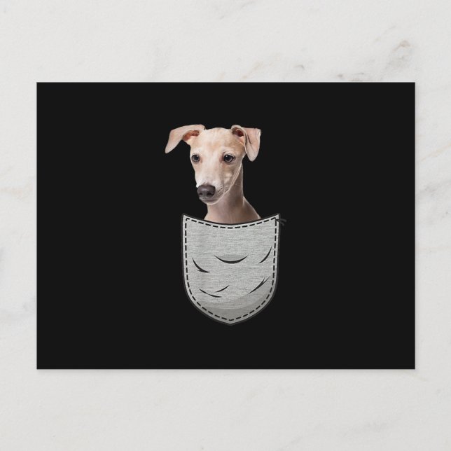 Carte Postale Faire-part Lévriers Italiens Whippet Pochette de Poitrine pou (Devant)