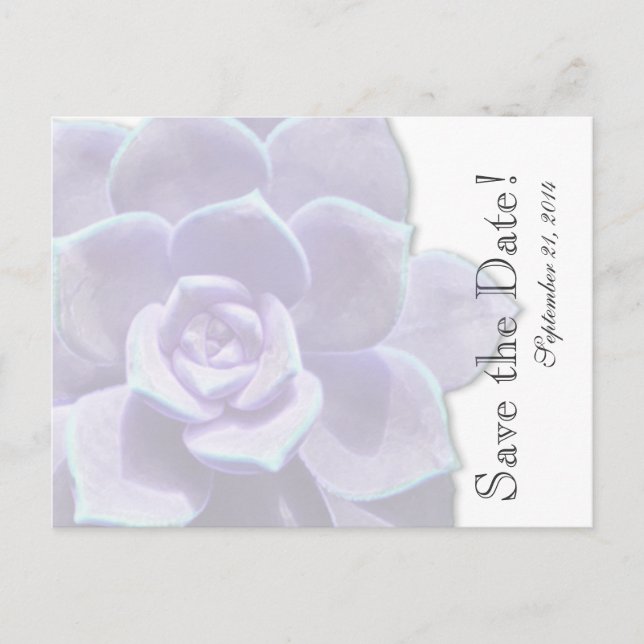 Carte Postale Faire-part Lilac translucide Succulent enregistrer la date (Devant)