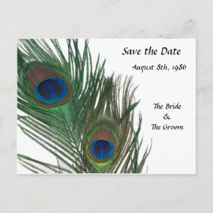 Carte Postale Faire-part Magnifique Paon Blanc Enregistrer la Date