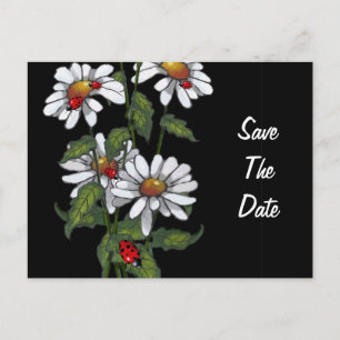 Carte Postale Faire-part Marguerites avec des coccinelles : Fleurs :