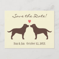 Mariage de chiens Labradors au Chocolat Enregistre