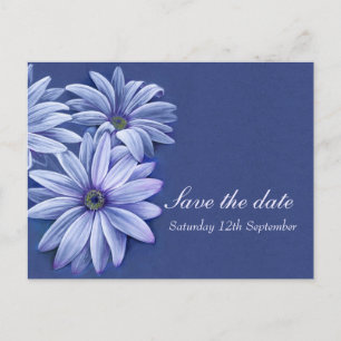 Carte Postale Faire-part Mariage de l'ostéospermum Daisy enregistrer la car