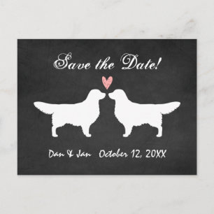 Carte Postale Faire-part Mariage Golden Retrievers Enregistrez la date