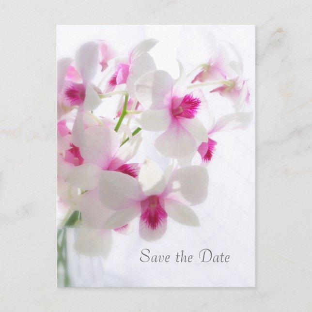 Carte Postale Faire-part Mariage. Orchidées blanches. Save the date (Devant)