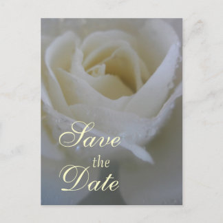 Carte Postale Faire-part Mariage Rose Ange