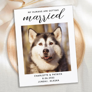 Carte Postale Faire-part Mes Humains Se Marient Chien, Sauf La Date