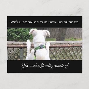 Carte Postale Faire-part Mignonne Nosey Chien Chien Chien Blanc Espion Sur 