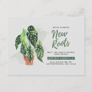 Carte Postale Faire-part Moderne Plantée Nouvelles Racines Déménager Nouvel