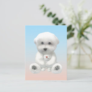 Carte Postale Faire-part Moment Douillet : Bichon Sourire Enlaçant un Mini