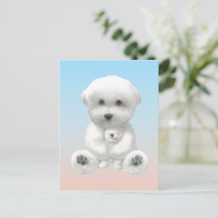 Carte Postale Faire-part Moment Douillet : Bichon Sourire Enlaçant un Mini