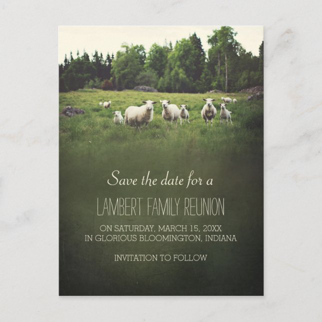 Carte Postale Faire-part Moutons sur le pâturage | Réunion familiale Enregi (Devant)