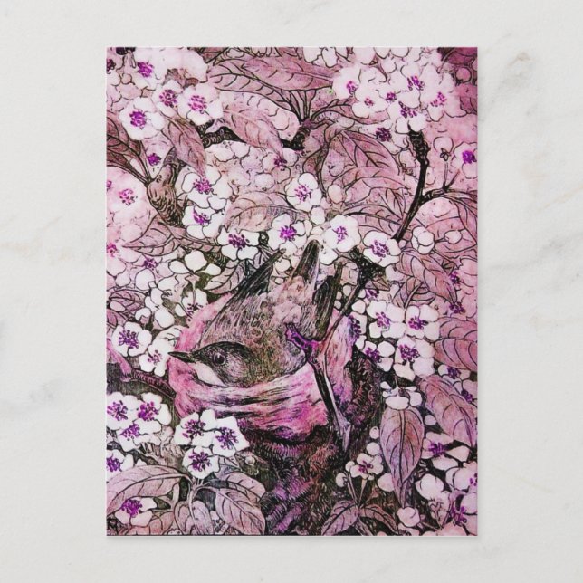 CARTE POSTALE FAIRE-PART NID D'OISEAU, ARBRE AUX FLEURS BLANCHES ROUGES ROS (Devant)