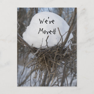 Carte Postale Faire-part Nid d'oiseaux d'hiver Changement d'adresse Faire-p