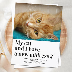Carte Postale Faire-part Nous avons déménagé Nouvelle Adresse Photo de chat