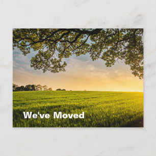 Carte Postale Faire-part Nous avons déménagé Sunset Field Nouvelle adresse