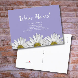 Carte Postale Faire-part Nous avons déplacé des marguerites blanches Lavand