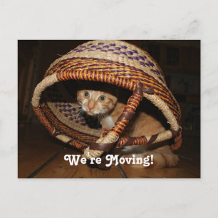 Carte Postale Faire-part Nous Déménageons Chat