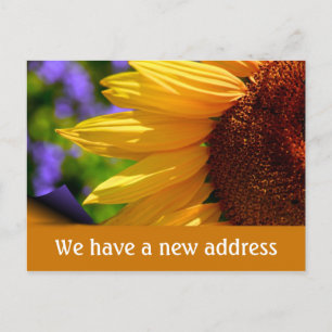 Carte Postale Faire-part Nous nous sommes déplacés avec la nouvelle adresse