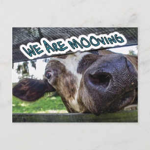 Carte Postale Faire-part Nous sommes en mouvement