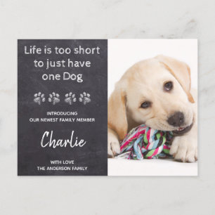 Carte Postale Faire-part Nouveau animal de compagnie Nouveau chiot photo pe