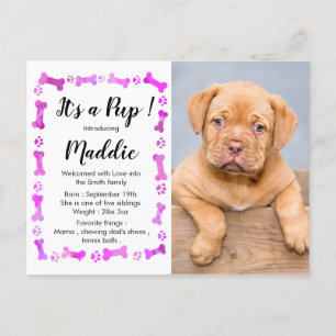 Carte Postale Faire-part Nouveau Chien - Fille Rose Nouvel Animal De Compag