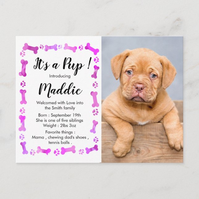 Carte Postale Faire-part Nouveau Chien - Fille Rose Nouvel Animal De Compag (Devant)