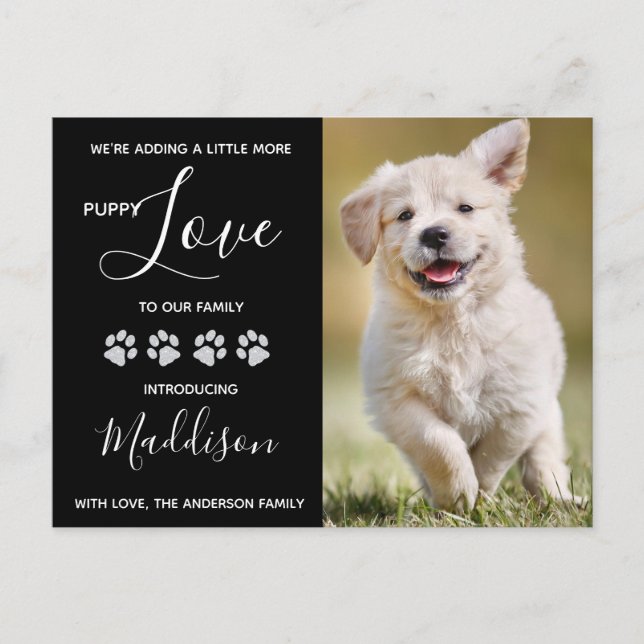 Carte Postale Faire-part Nouveau chiot (Devant)