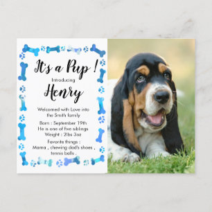 Carte Postale Faire-part Nouveau chiot - Nouvel animal de compagnie - Garço