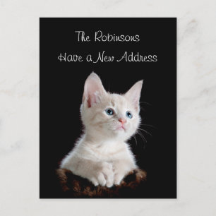 Carte Postale Faire-part Nouvelle Adresse de Chat Mignon