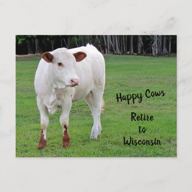 Carte Postale Faire-part Nouvelle adresse de vaches heureuses / Changement  (Devant)