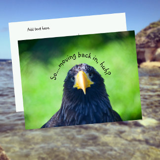 Carte Postale Faire-part Oiseau balbuzard drôle•Personnalisé