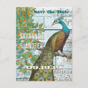 Carte Postale Faire-part Oiseau d'amour Paon Perché dans un Arbre Enregistr
