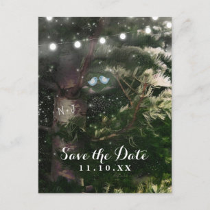 Carte Postale Faire-part Oiseaux de l'amour + Nuit de l'arbre de pin Enregi