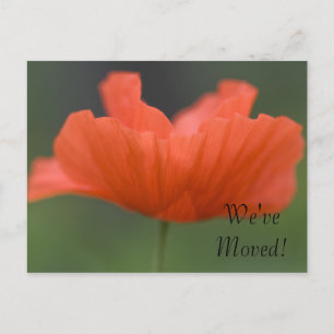 Carte Postale Faire-part Orange Poppy Changement d'adresse