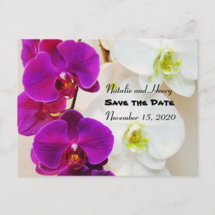 Carte Postale Faire-part Orchidées tropicales Enregistrer la date