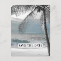 Palmier blanc cocotier Élégant Chic Save the Date