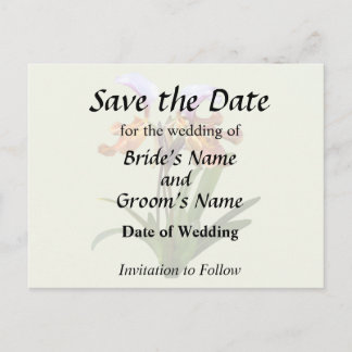 Carte Postale Faire-part Paphiopedilum Orchidées Entrelacées