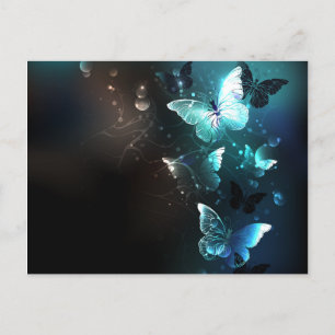 Carte Postale Faire-part Papillons de nuit à la menthe